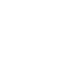 Valzico